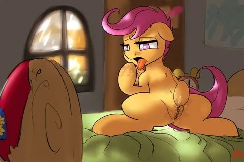 #475785 - explicit, artist:crade, scootaloo, pony, anus, bed