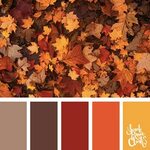 25 Color Palettes Inspired by the Pantone Fall 2017 Color Tr