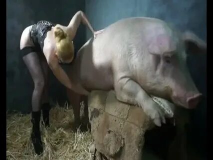 Pig Fuck Girl - LuxureTV