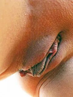 camel-toe-pussy-lips-525x700