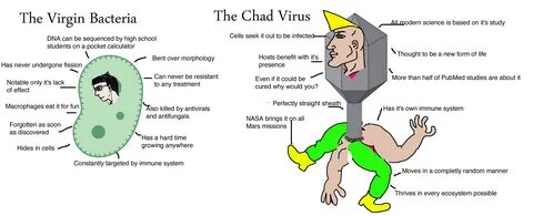 Virgin vs Chad Post 'em if you got 'em.