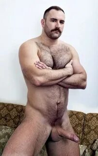 Hairy Chested Gay Bear Men " Hot Hard Fuck Girls