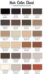 Hair Color Chart Skin color palette, Hair color chart, Skin 