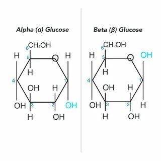 BCAA Science A Level na Twitterze: "Alpha glucose has the OH molecule below C1