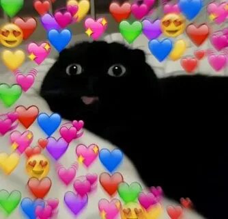 wholesome cat memes hearts - Google Search Memes de animales