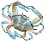 Wall Art - Bovano - Blue Crab