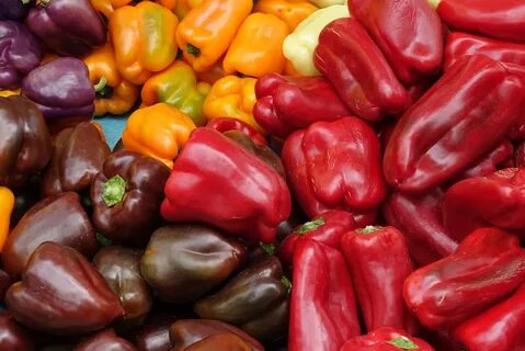 Free photo: Group of Peppers - Food, Group, Pepper - Free Do
