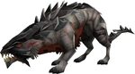 Solomon's General Store/Pets RuneScape Wiki Fandom