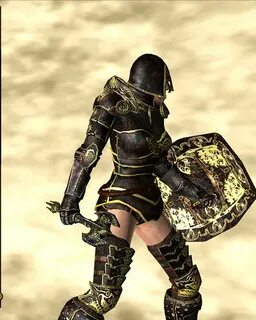 ebony armor 07 - escutcheon of chorrol shield (rear) Flickr