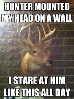 Pin by Deer Hunters on Funny Deer Hunting Meme Funny deer, H