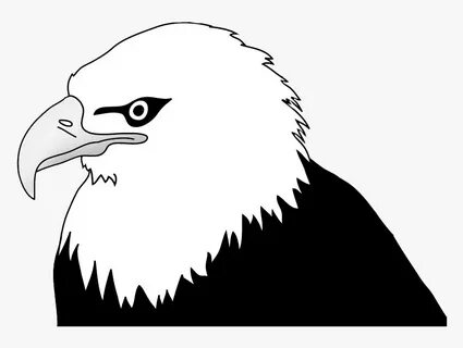 Bald Eagle Head Illustration - Bald Eagle Clipart Black And 