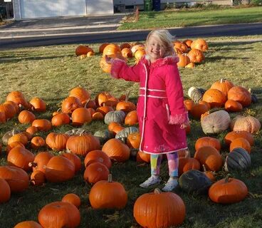 Life in Love with Lady O: Pumpkin Patch: Not Really