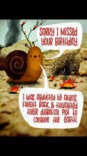 Pin by Renee Phillippi on Birthdays Belated birthday funny, 