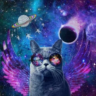 freetoedit galaxy cat funny image by @jasmine_pic_editz