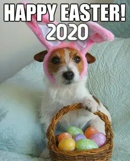 Happy Easter Meme 2022 - Funny Pictures, Pics, Photos For Fa