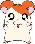 Hamster clipart hamtaro - Pencil and in color hamster clipar