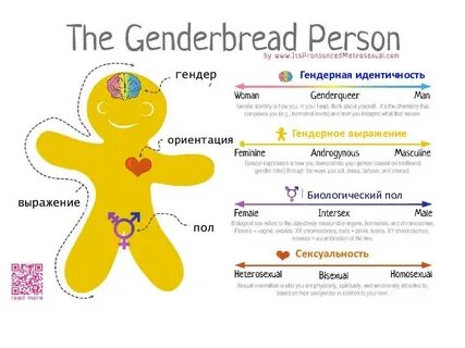Гендер, пол и сексуальность - презентация на Slide-Share.ru 
