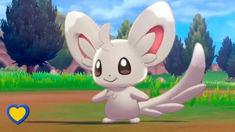 HOW TO GET Minccino in Pokémon Sword and Shield - YouTube