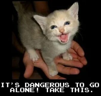 It's Dangerous to Go Alone! Do it Anyway. - G. Lucas Roe