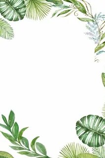 Plants Tropical Jungle Leaves Border Frame Ftestickers - Tro