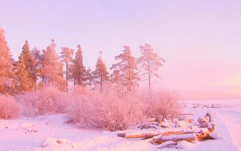 Обои Зима, цвет, снег, деревья на рабочий стол