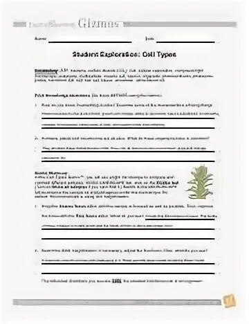 Cell Types Gizmos C Answer Key / PhotosynthesisComputerLab -