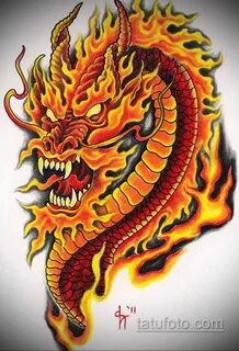 дракон тату эскиз цветной 16.09.2019 № 011 - dragon tattoo s