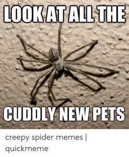 LOOKAT ALL THE CUDDLY NEW PETS Quickmemecom Creepy Spider Me