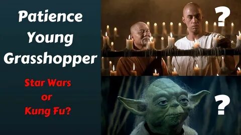 Patience Young Grasshopper Quote Origin - Star Wars? or Kung