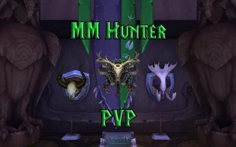 PVP Marksmanship Hunter Guide - (WotLK) Wrath of the Lich Ki