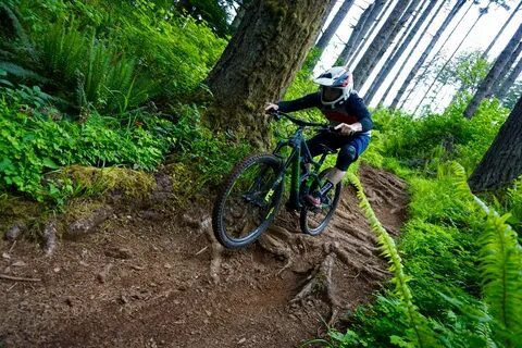 Capitol Forest Mountain Bike Trail in Olympia, Washington - 