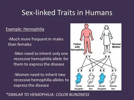 Complex Patterns of Inheritance. 1.Incomplete dominance 2.Co