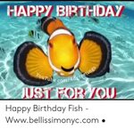 🐣 25+ Best Memes About Birthday Fish Birthday Fish Memes