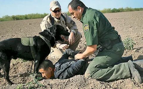 Dan prisión al agresor de border - La Voz de la Frontera Not