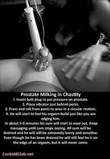 Prostate Milking in Chastity - Cuckold Club
