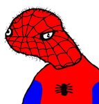 Spoderman Spiderman funny, Funny cartoon pictures, Superhero