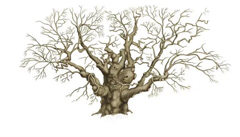 Best Tree Drawing at GetDrawings Free download