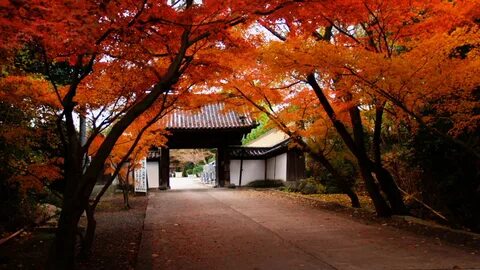 Autumn Japan Wallpapers - Wallpaper Cave