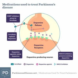 How Do Anticholinergics Work In Parkinson's - ParkinsonsInfo