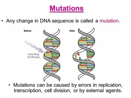 1.Using the table on Pg. 292, write the amino acid sequence 