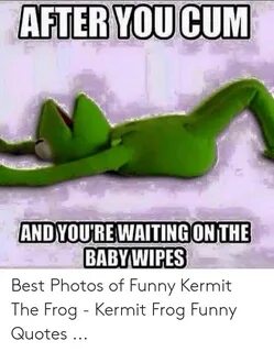 🐣 25+ Best Memes About the Frog Kermit the Frog Kermit Memes