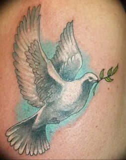 Фото тату голубь 26.10.2018 № 225 - tattoo dove - tattoo-pho