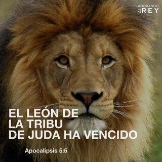 Él ha vencido #Dios #Jesus #Jesucristo #Cristo #Leon #Corder