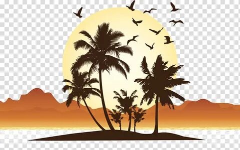 Tree illustration, seaside sunset transparent background PNG