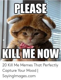 PLEASE KILL ME NOW Quickmemecom 20 Kill Me Memes That Perfec