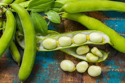 Lima Beans Buy - Taka Vegetable