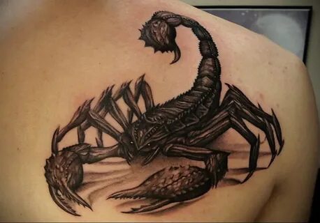 Пример рисунка татуировки скорпион 16.01.2021 № 0151 -scorpi