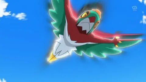 hawlucha の Twitter イ ラ ス ト 検 索 結 果.