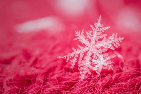 макро, снежинка, фон Snowflakes, Red scarves, Wallpaper