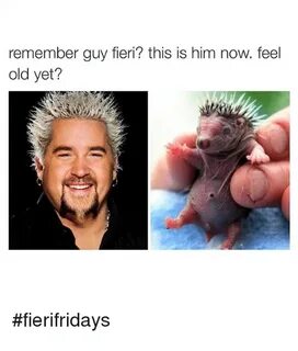 Remember Guy Fieri? This Is Him Now Feel Old Yet? Guy Fieri 